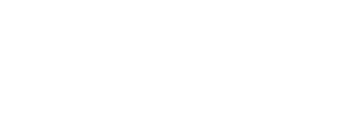 Comunidad Aduanera