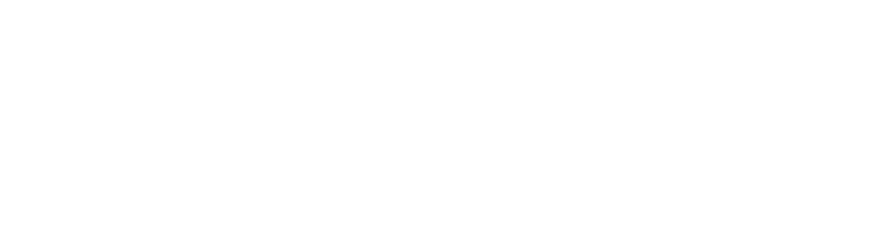 Comunidad Aduanera